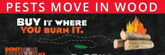 NHForestHealth's profile banner image