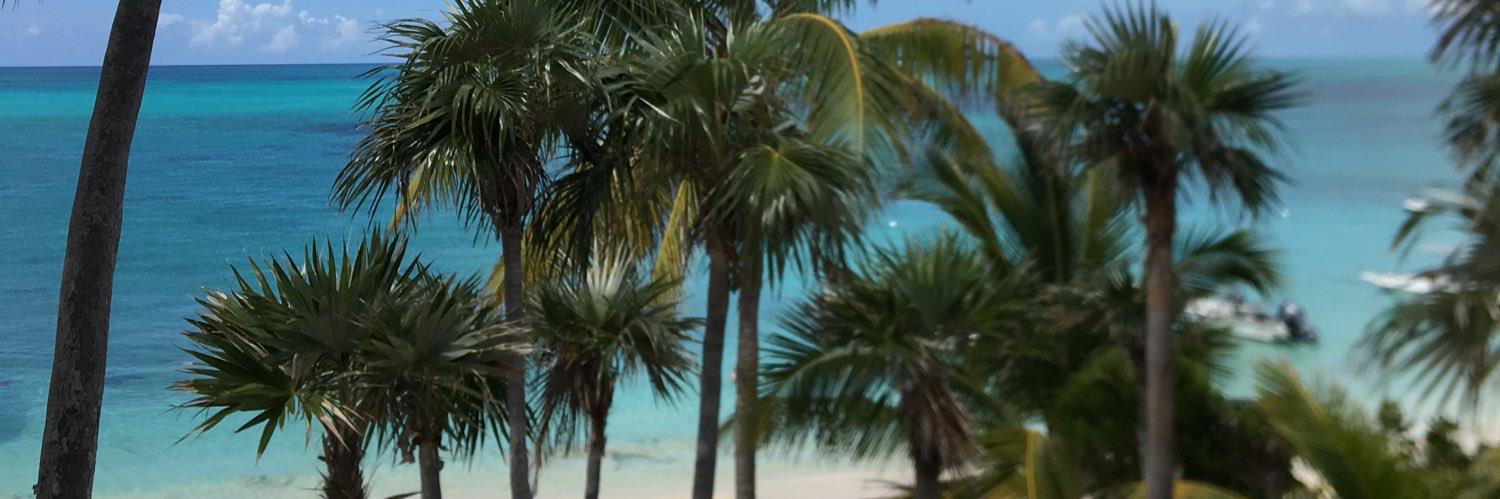 tipsbry's profile banner image