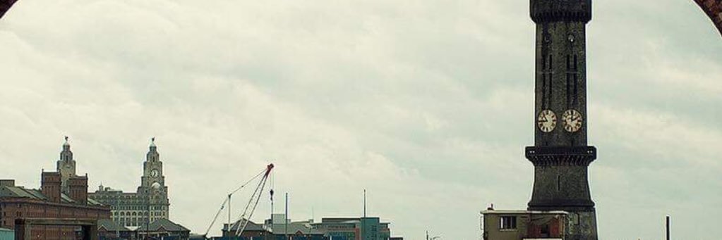 David Mahoney banner