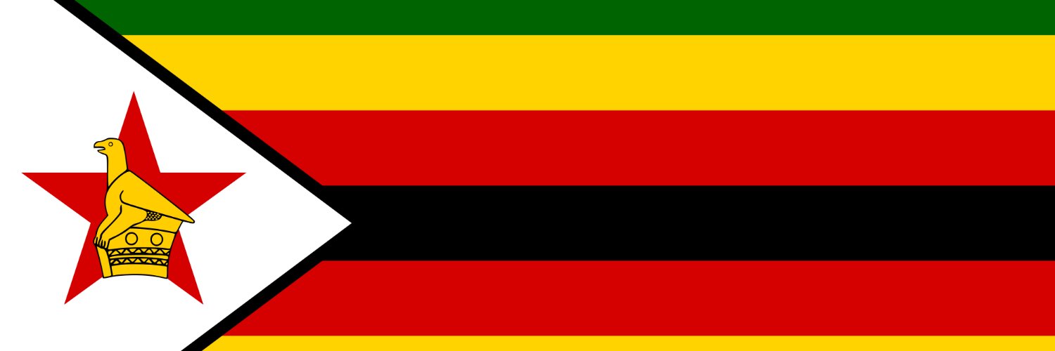 2023Zim's profile banner image