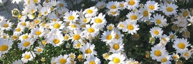 ใ ค ร ซั ก ค น บ น โ ล ก ใ บ นี้ . banner