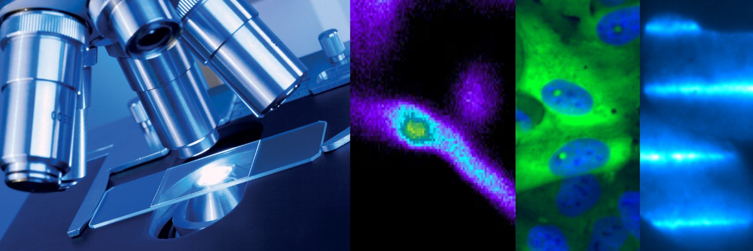 RAPP OptoElectronic banner