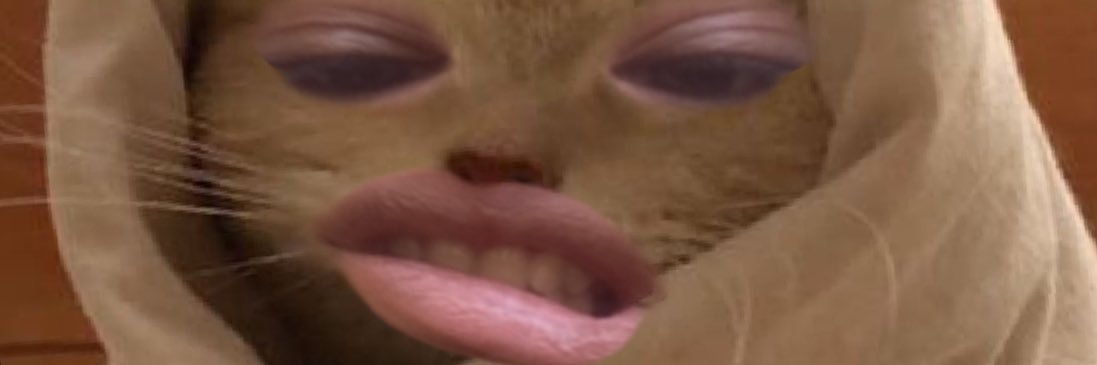 5haqayeq's profile banner image