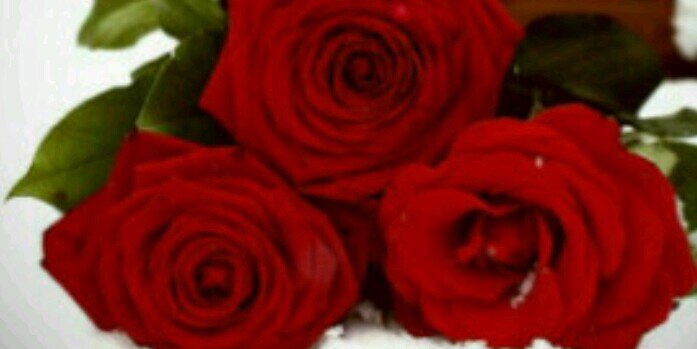 S__m1234's profile banner image