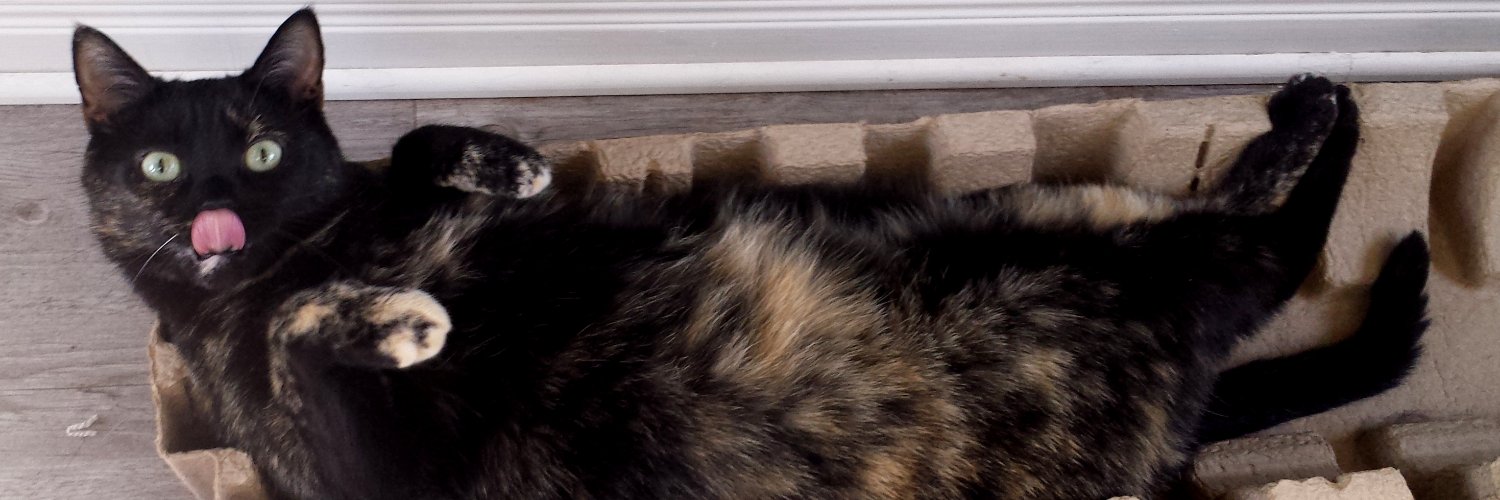 Luna_Teacup's profile banner image