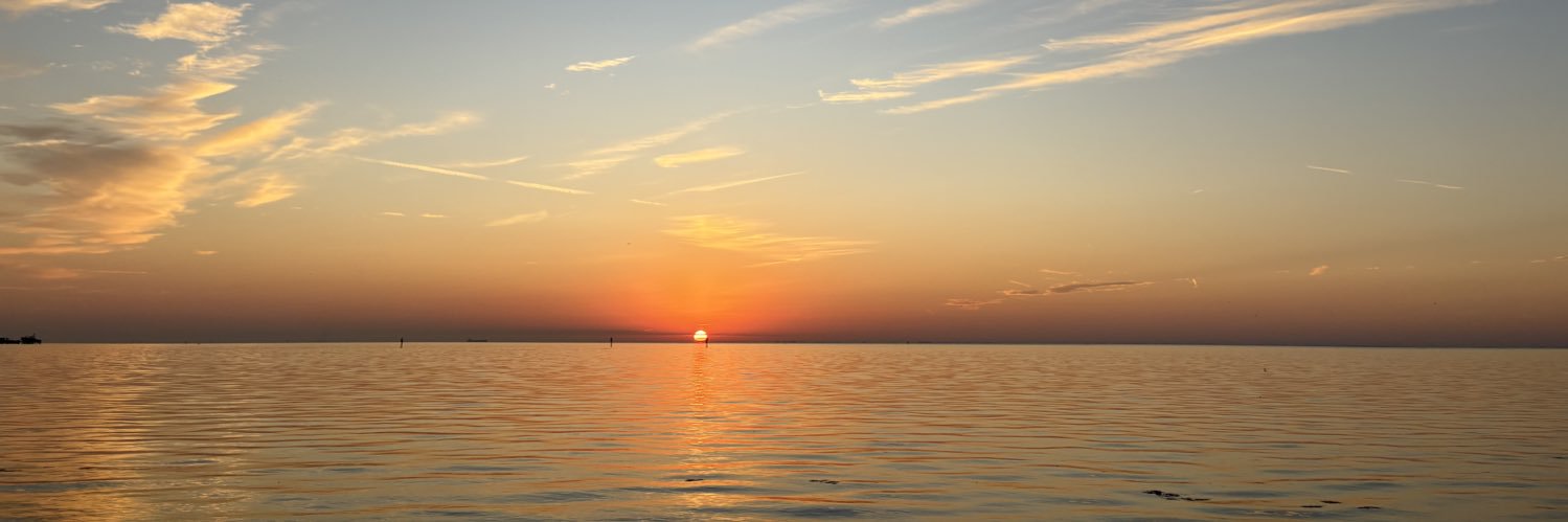 cdenecke1's profile banner image