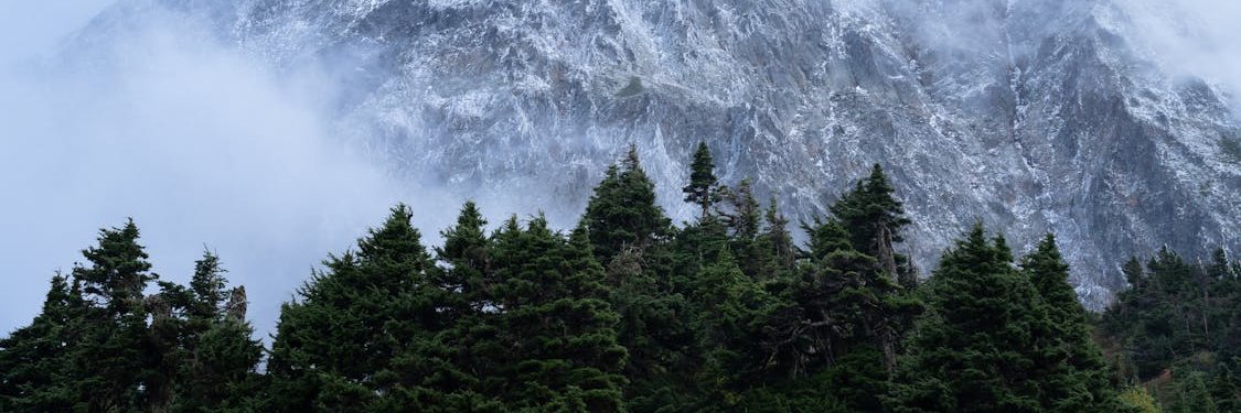 peak human ☦︎ banner