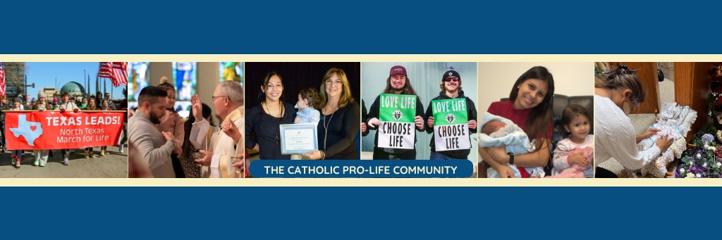 prolifedallas's profile banner image