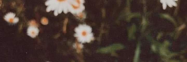 ★彡 𝑨𝑺𝑶𝑶 彡★ banner