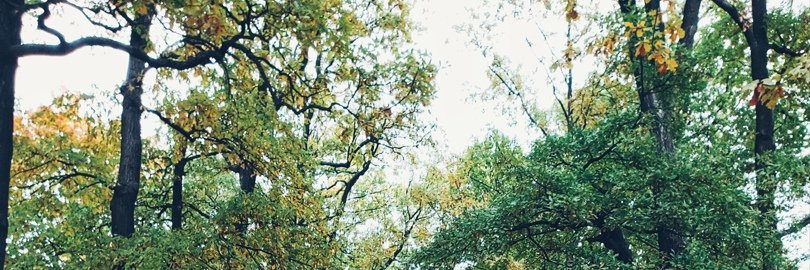 DebraLMurphy's profile banner image