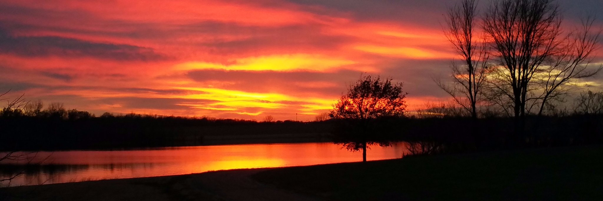 Lisa Fletcher banner