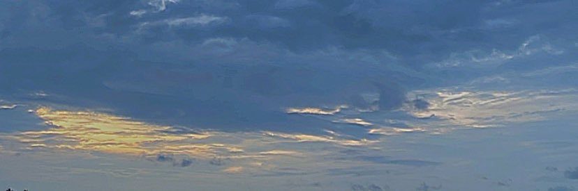 🦋 banner