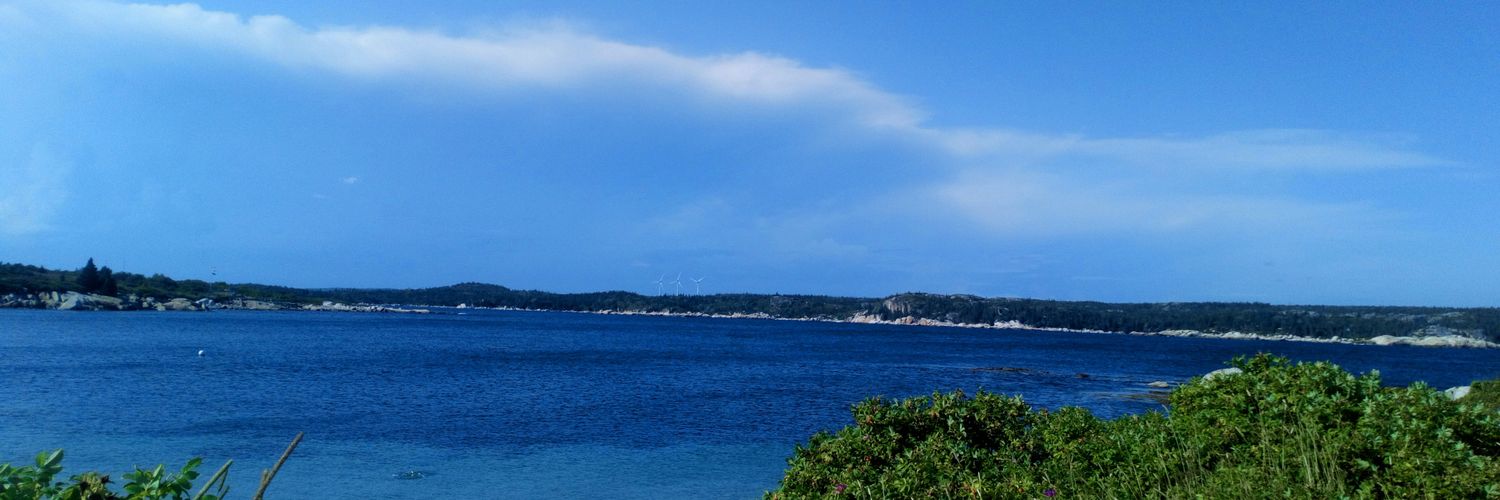 orosales's profile banner image