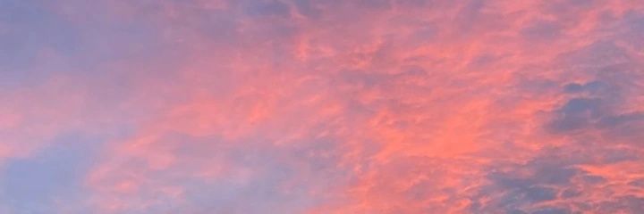 rosaaaacs's profile banner image