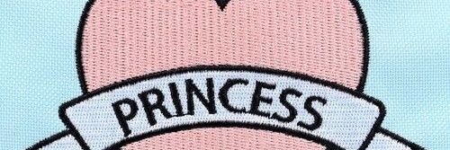 The Princess banner