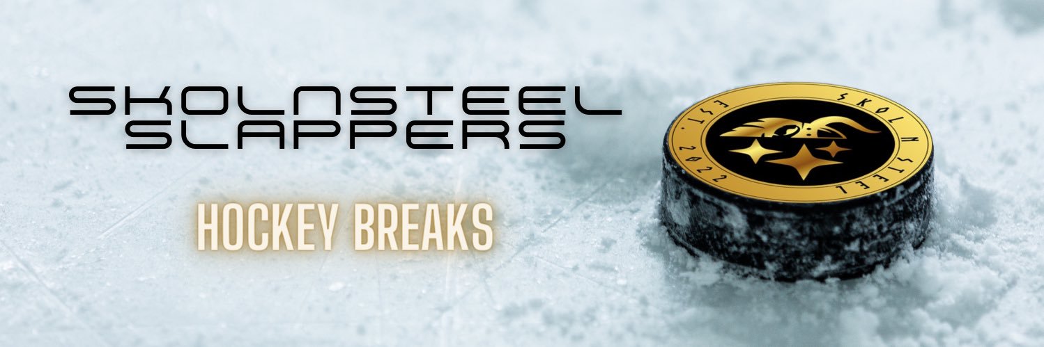 SkolnSteelSlaps's profile banner image