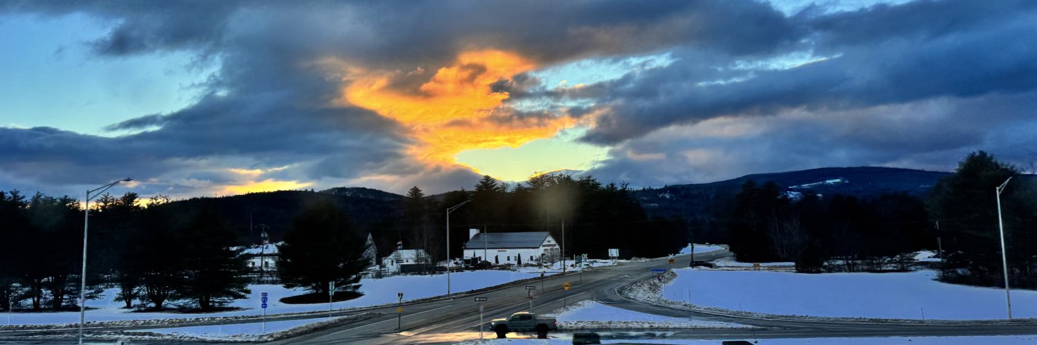 Elizabeth Hitchcock banner