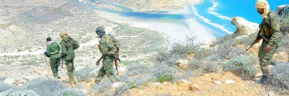Puntland Defence Force's banner