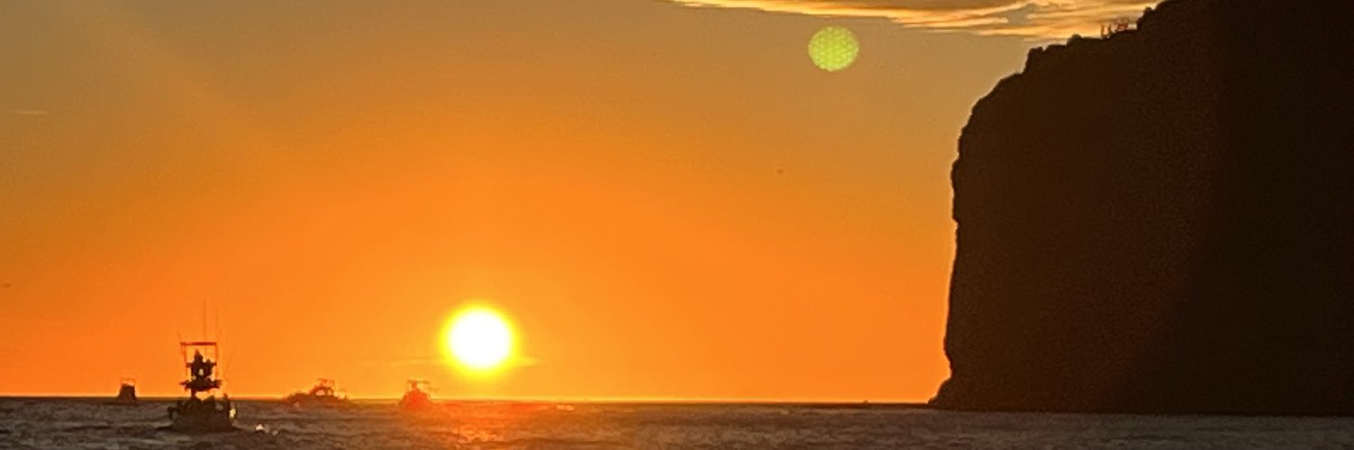 Edgar Hiram Sallard banner