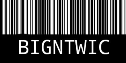 bigntwic's profile banner image