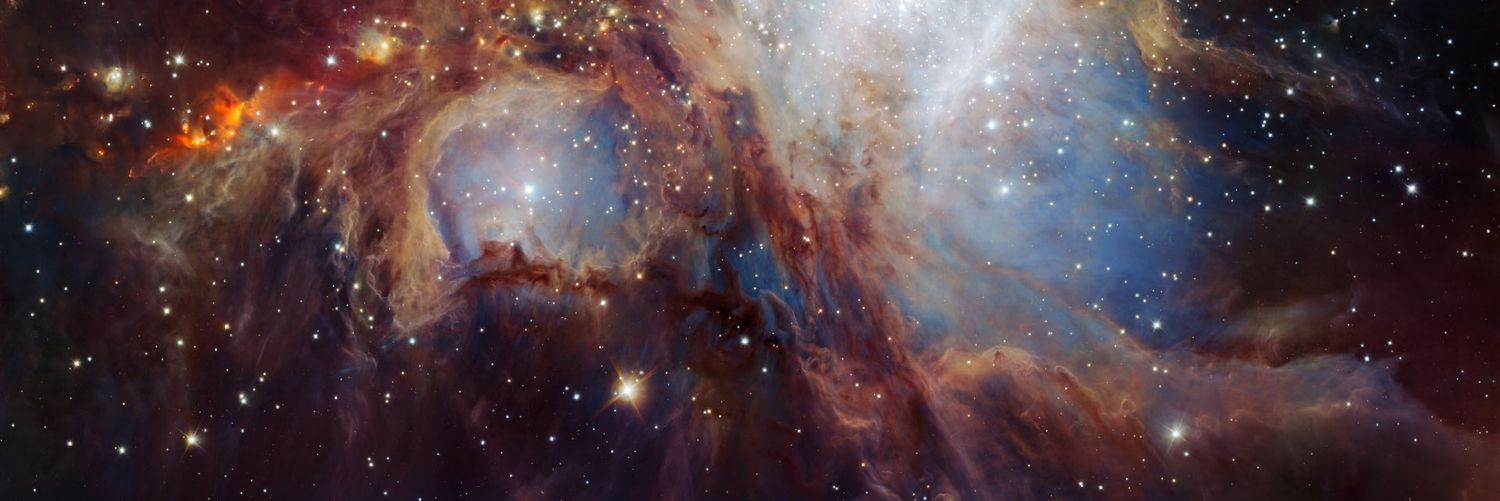 Marta Podgórny banner