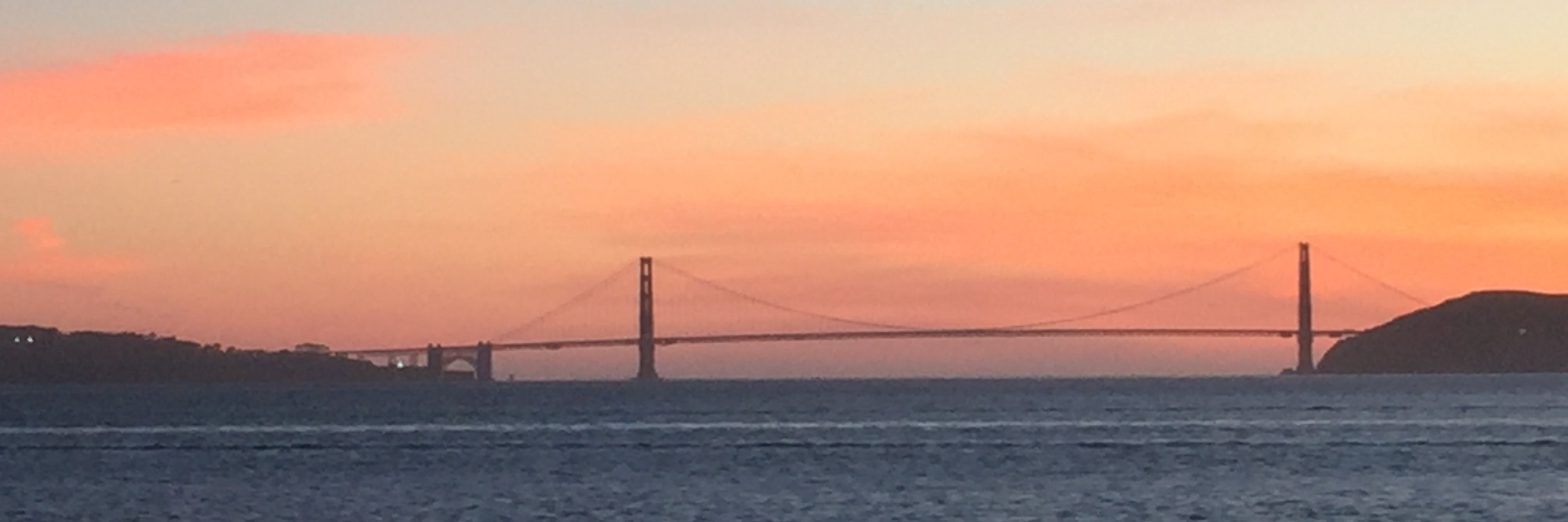 LauraZavelson's profile banner image