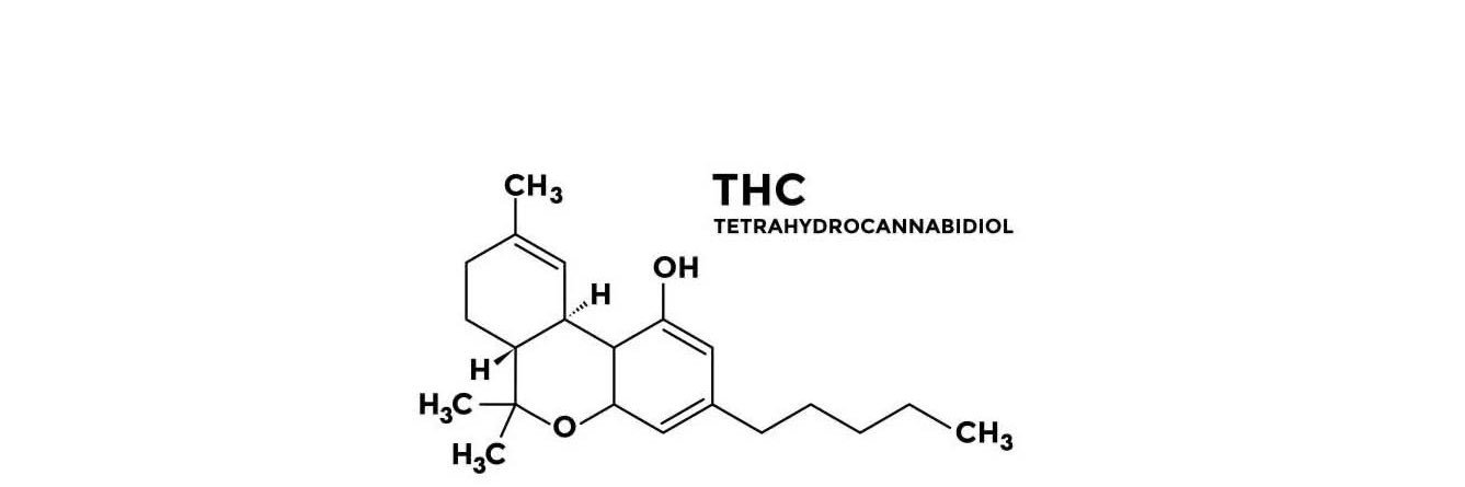ExelaCannabis's profile banner image