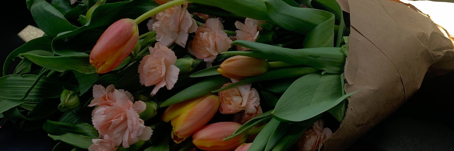 anikadua_'s profile banner image