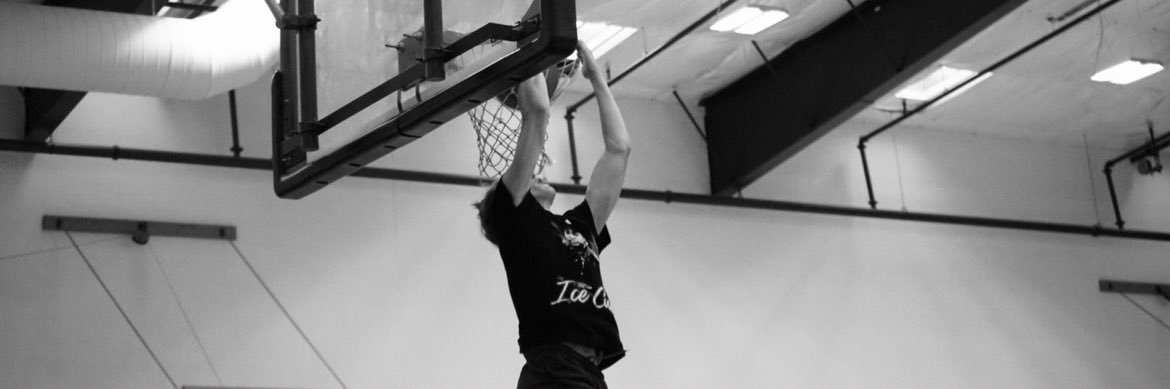 Radomir Bryzgalov banner