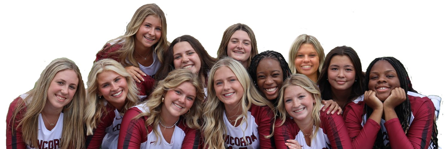 Concordia High School Volleyball banner