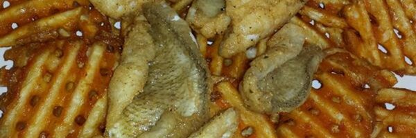 MadisonFishFry Profile Banner