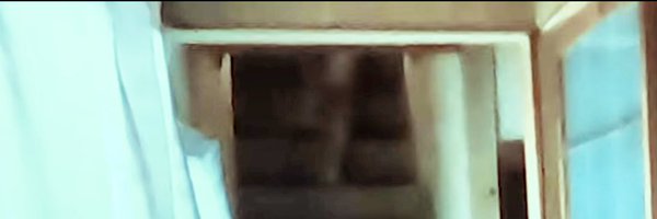 takane_sonokai Profile Banner