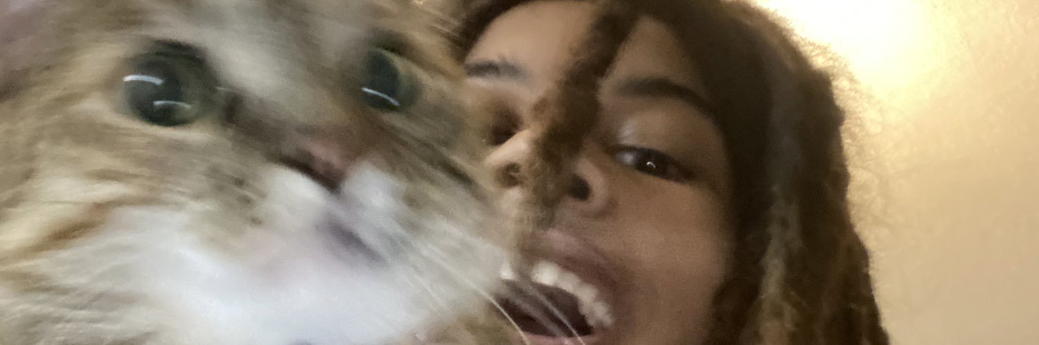 steezereese's profile banner image
