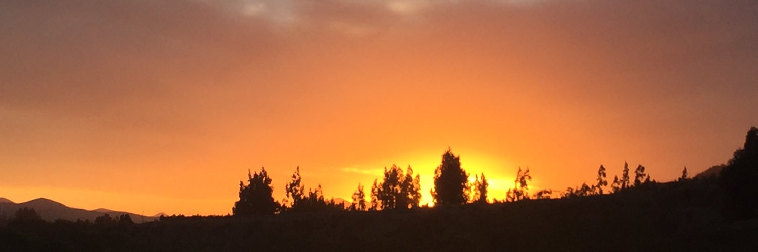 Patricio Paredex Vendersky banner