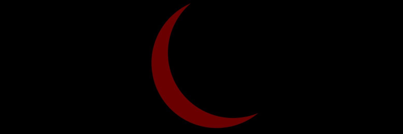 Cheryl Blossom banner
