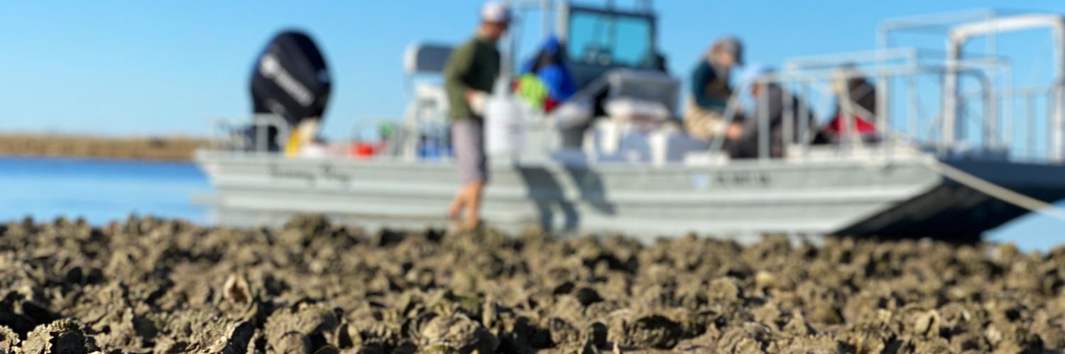 Coastal Conservation and Restoration Ecology Lab banner