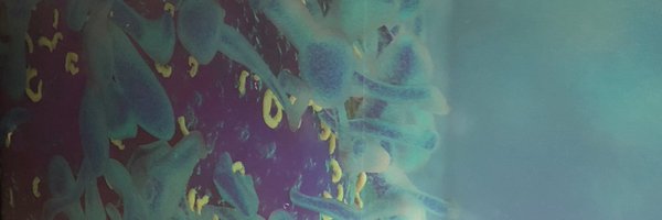 IngridSRoss Profile Banner