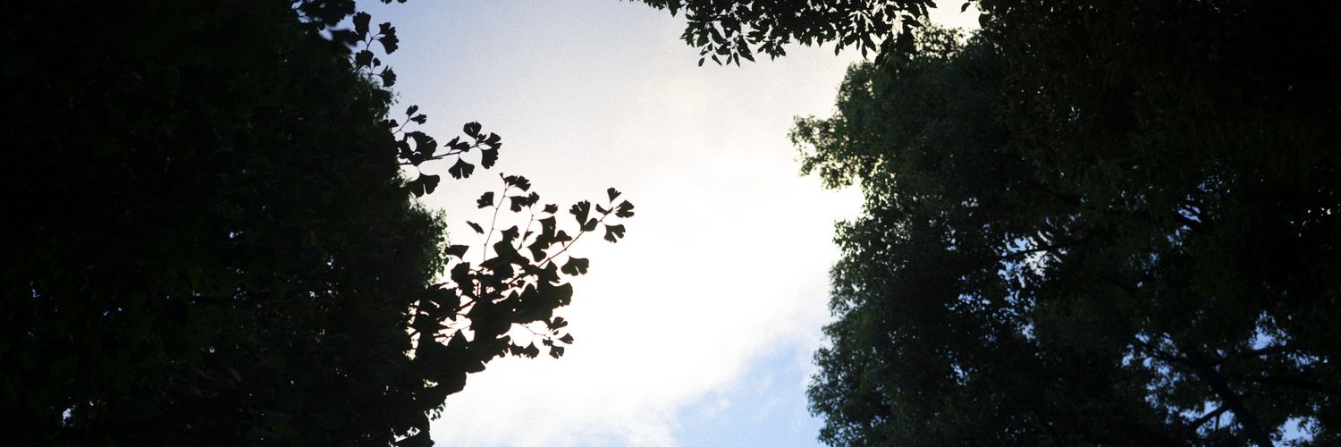 Neworldinc's profile banner image