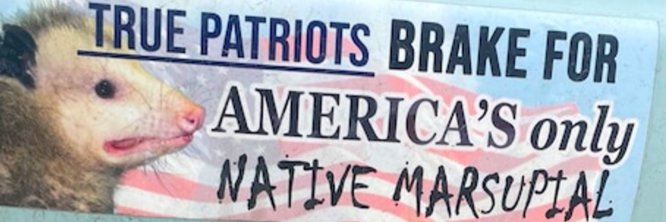 Tomadan W. Burgers IV. banner