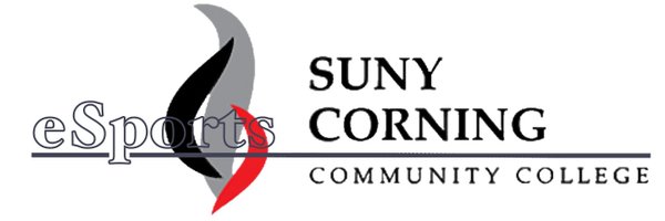 sunyccc_esports Profile Banner