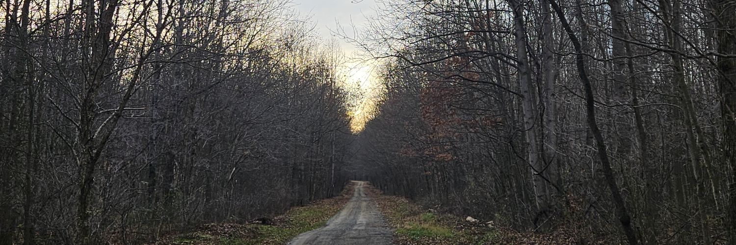 c_adenc_e's profile banner image