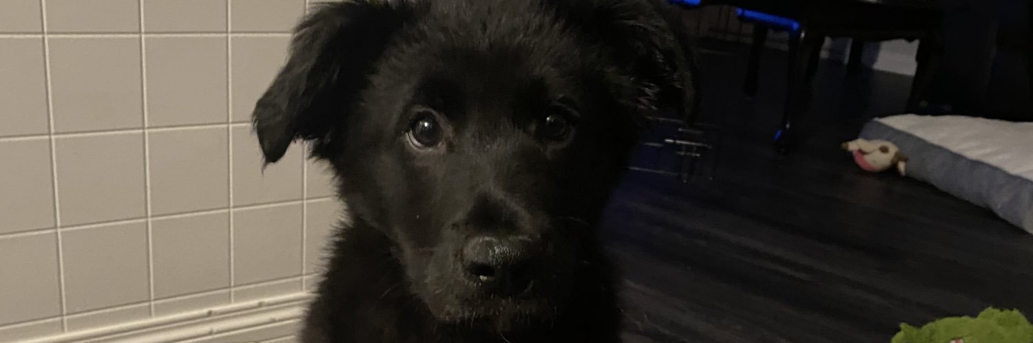kinzeysmith's profile banner image