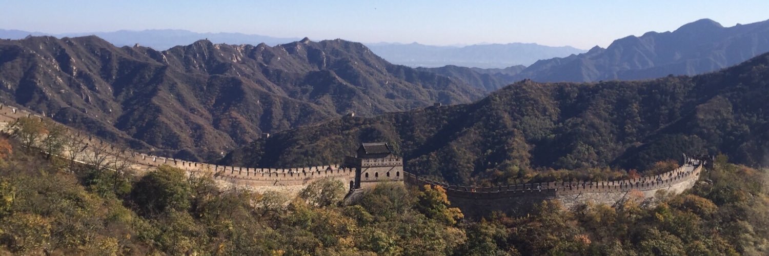 Mario López Viveros banner