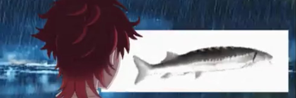 🦈 sammmm ⚾️ banner