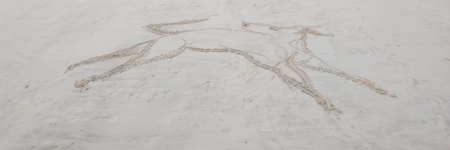 _XtineB's profile banner image