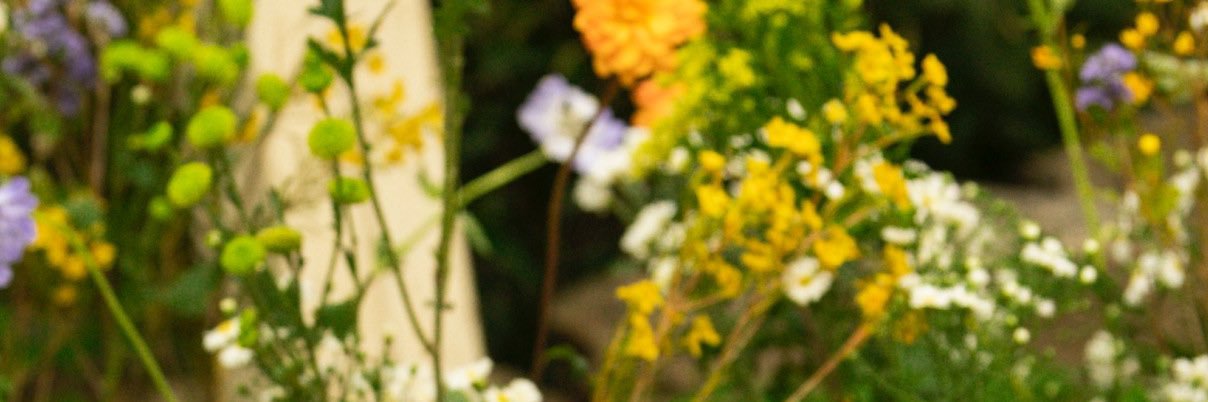 Kersiah101's profile banner image