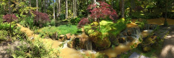 SimeoniChri Profile Banner