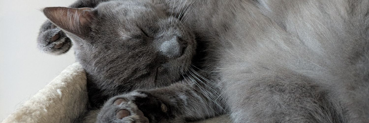 PascalGoyette2's profile banner image