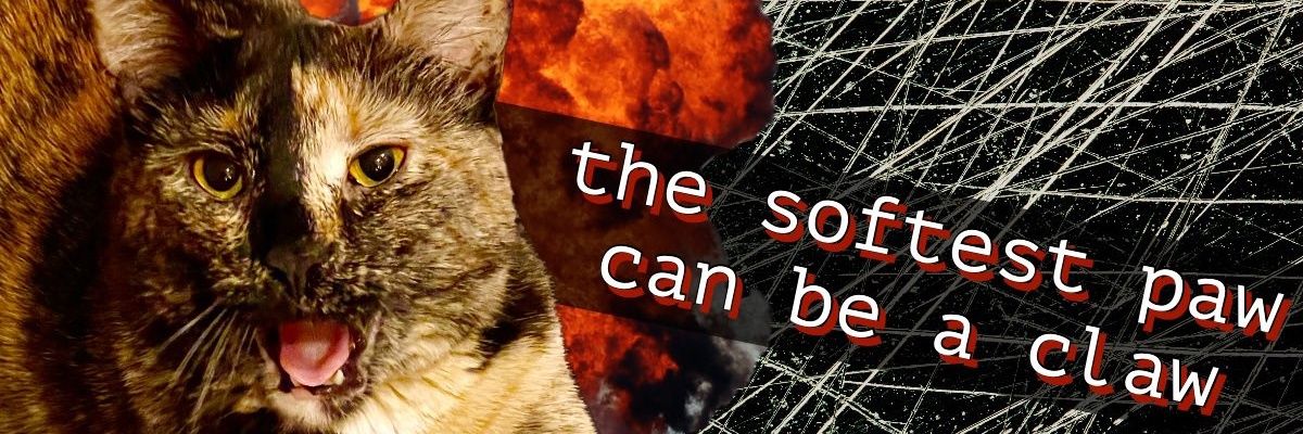 __high_regard's profile banner image