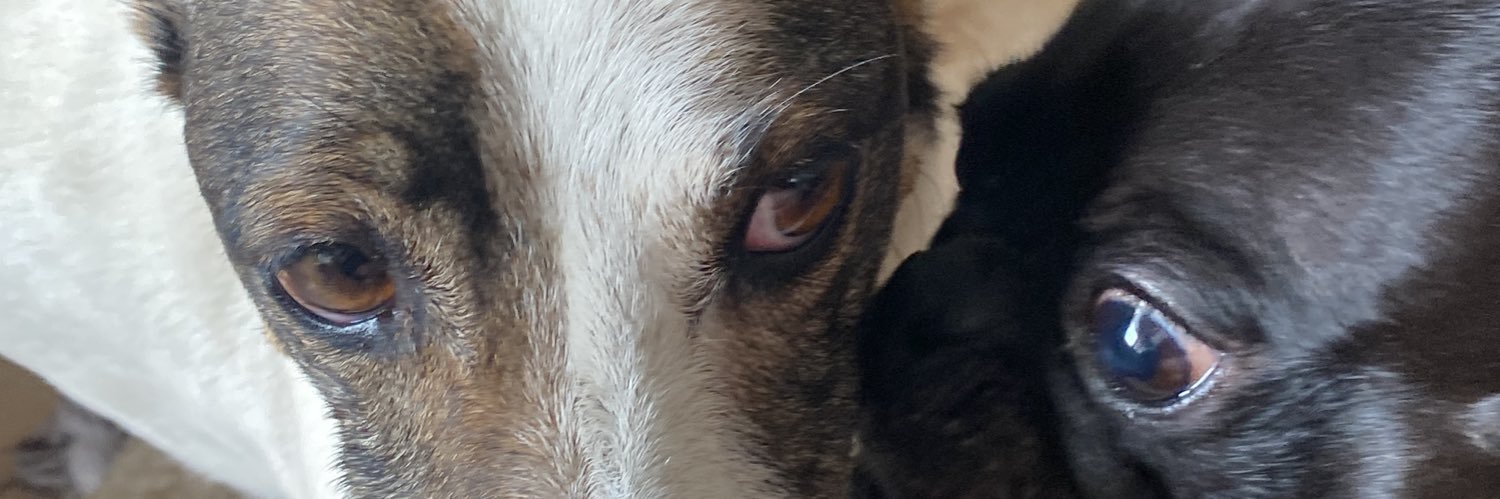 LegalmentePeliNegra🦄 banner